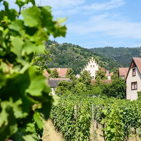 Apartmán Chez Romane Riquewihr